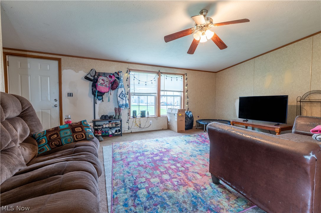 Town/Brightwood - Residential