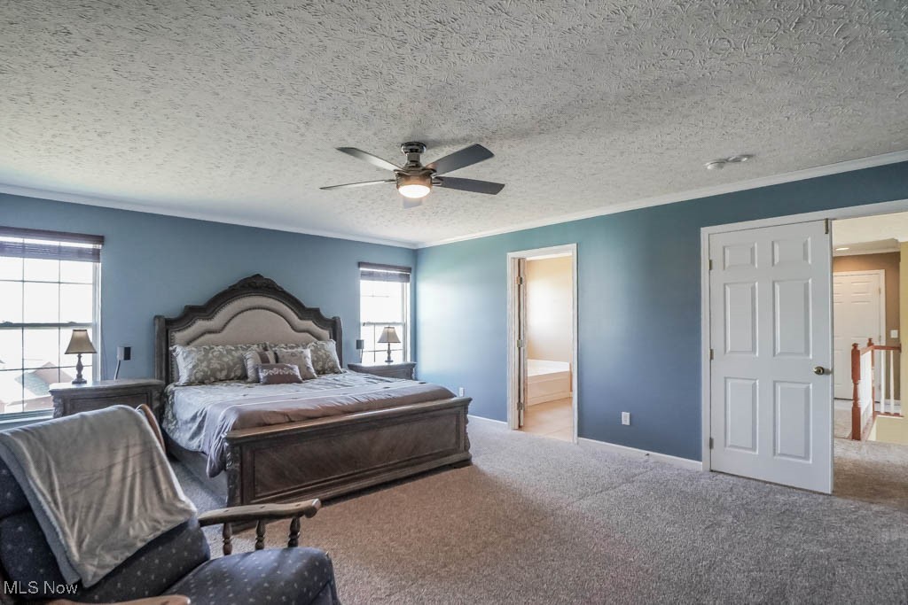 437 Montabella Place, Canton, Ohio image 24