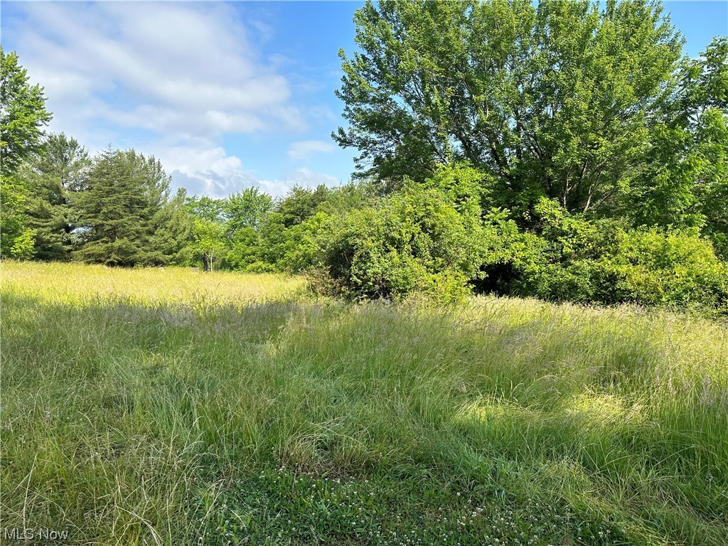 Knights - Residential