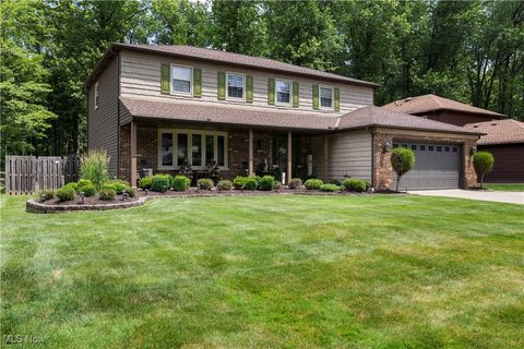 26938 Tall Oaks Trail, Olmsted Twp, OH 44138 - #: 5138798