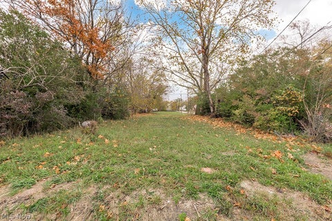 Photo of 933 E 140th Street, Cleveland, OH 44110 (MLS # 5239791)