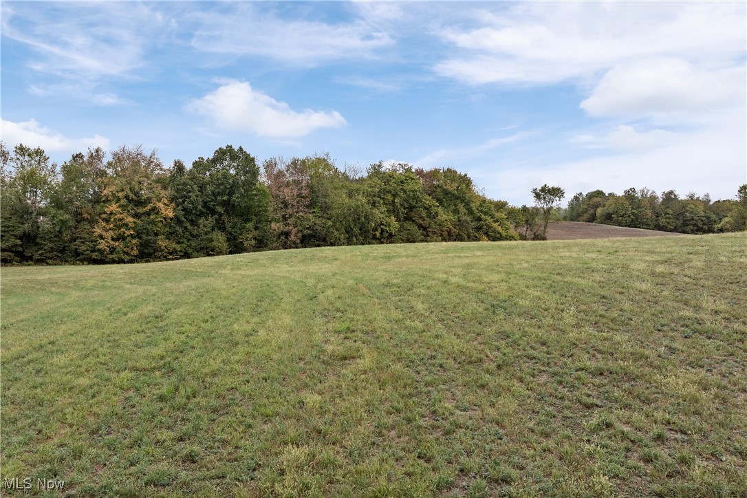 Cement Bridge Road, Dundee, Ohio image 4