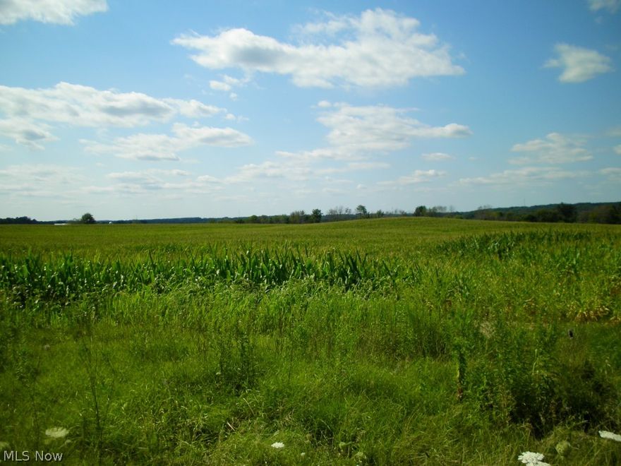 11.018 acres of ground with frontage on SR 164, located between Kelly Park Road and Route 11 overpass.  Currently used as farm land. All mineral rights to transfer with property.  Beautiful setting overlooking the countryside.  Crestview School District.  Great potential.