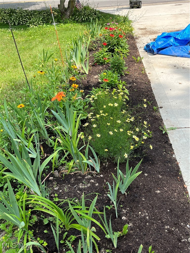 College Park Add - Residential