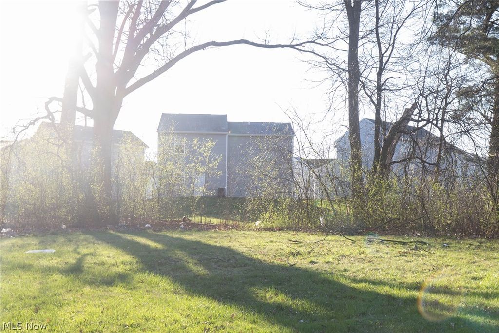 Photo of 557 Wildwood Avenue, Akron, OH 44320 (MLS # 5189355)