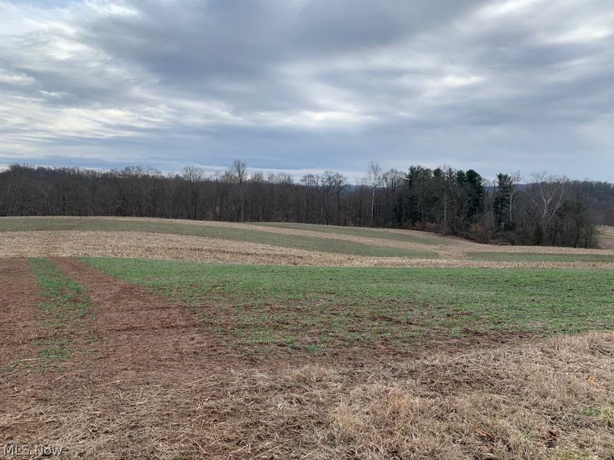Property recently surveyed.  Additional 43.534 acres available.  Beautiful laying land that has been in this family for many generations.  Beautiful place for your dream home, farm or recreational get away.  This acreages has an old water well near barn, owner has never used the well.  Two barns on properties, need TLC.
Property was select timbered approximately 10 years ago.  Mineral rights do not transfer, currently leased, owner will consider letting them go for the right price.  Farm land has a 5 year lease into the 3rd year for $2400 a year (owner can terminate if crops not in the ground).