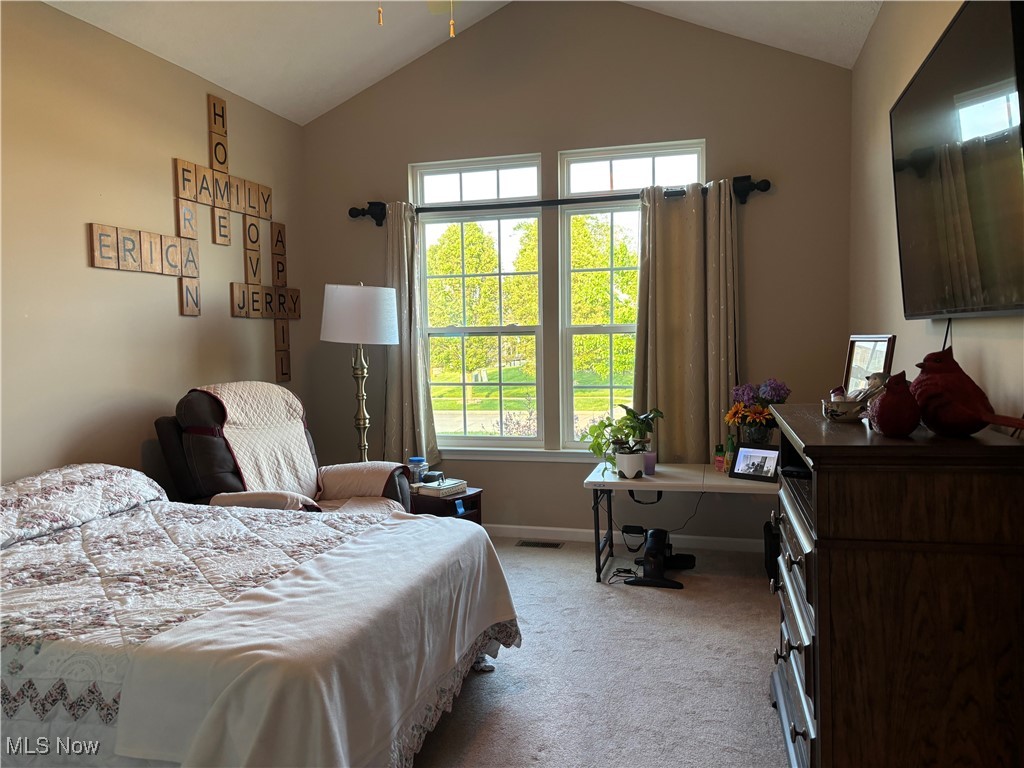 3178 Seven Bridges Road, Medina, Ohio image 30