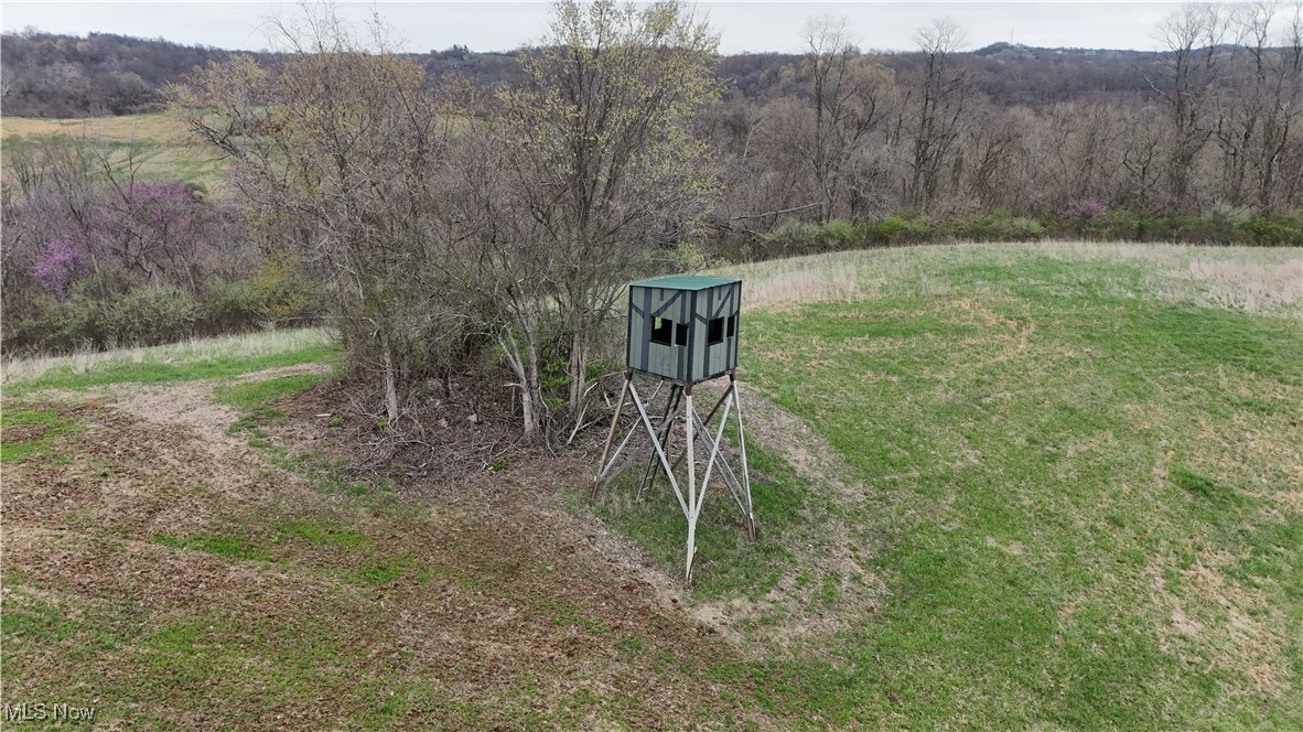Parry Hollow Road, Caldwell, Ohio image 2