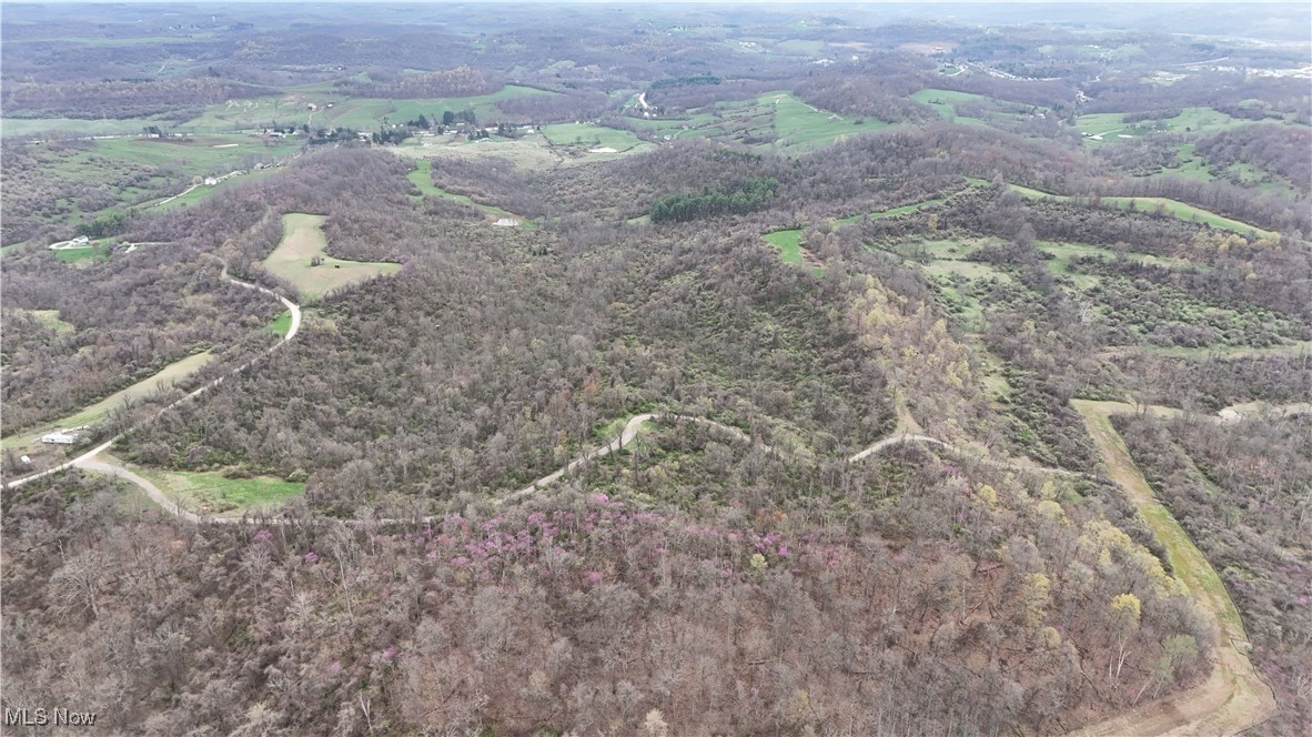 Parry Hollow Road, Caldwell, Ohio image 3