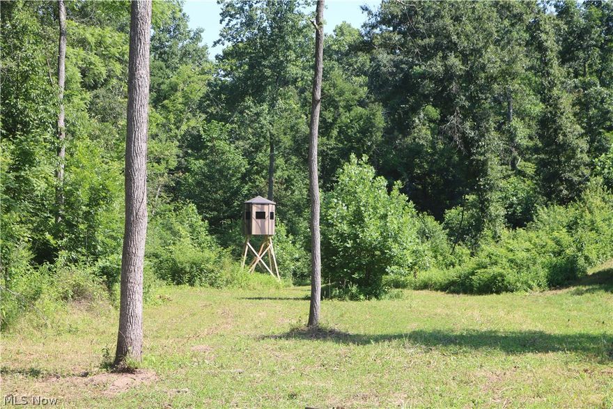 If your focus is hunting trophy whitetails then this property is an absolute must see. Food plots, hunting blinds and a great maintained trail system as well as some very nice trophy Buck pictures makes this muskingam county property one of a kind. Buy the home on 5 acres with it and be all setup with a hunting cabin. The seller has worked hard to turn this into a hunters- outdoorsmans dream. Lots of room for the ATVS on this one. Great road frontage as well as an easement across 5 acres parcel with the home will make this property on a quiet county road sure to please.