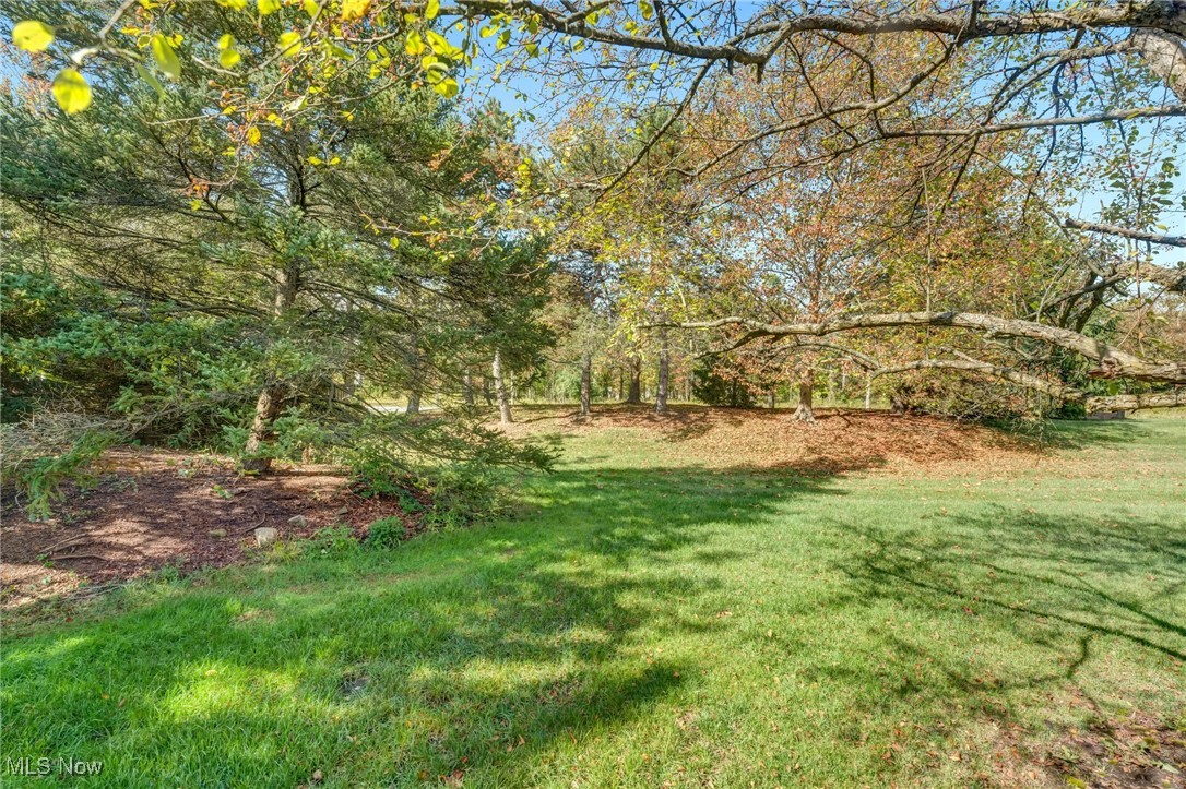 Springfield Commons - Residential