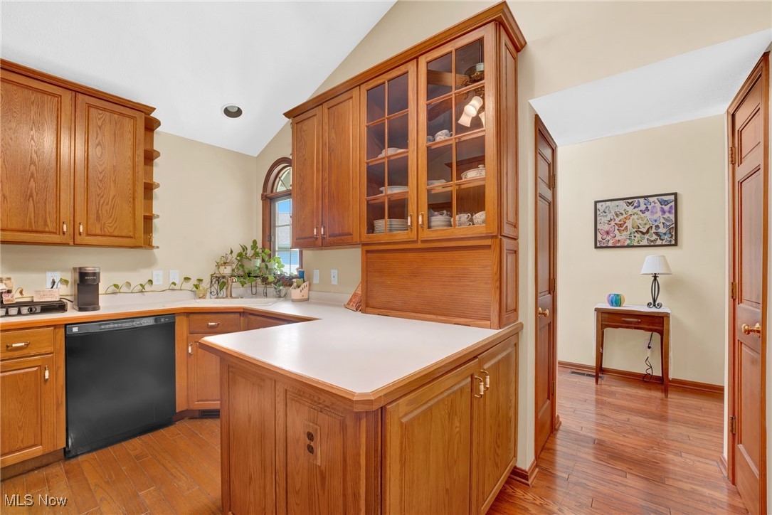 Springfield Commons - Residential