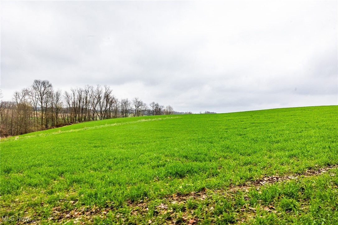7110 Halo Road, Dellroy, Ohio image 9