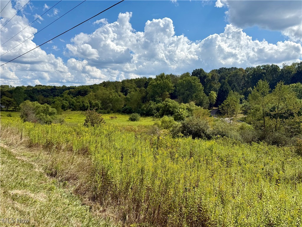 Wonderful piece of land just outside of Carrollton. 3.46 acres close to Leesville lake and other local communities just outside of the town of Carrollton. Good sized property would be perfect building spot or buy for an investment. Back of property is a creek! Nice rolling yard down to the creek area. Electric available at street.