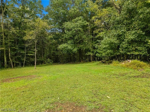 Vacant Land For Sale - 1732 Tedrick Road<br/> New Concord, OH 43762