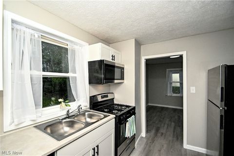 Tiny photo for 542 Montgomery Street, Akron, OH 44305 (MLS # 5209564)