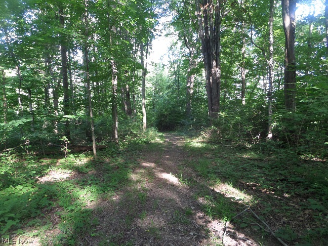 Windham - Residential