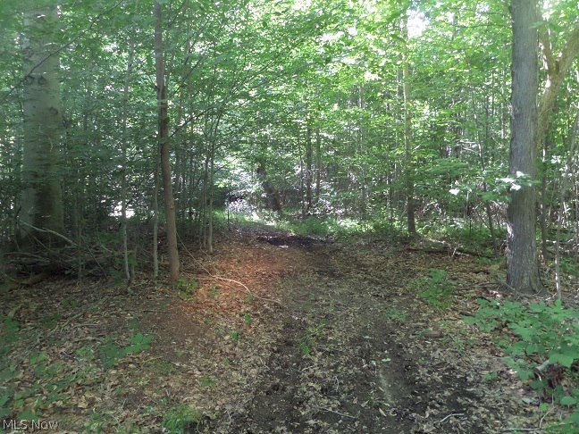 Windham - Residential