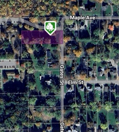 Tiny photo for 461 Gates Street, Andover, OH 44003 (MLS # 5202976)