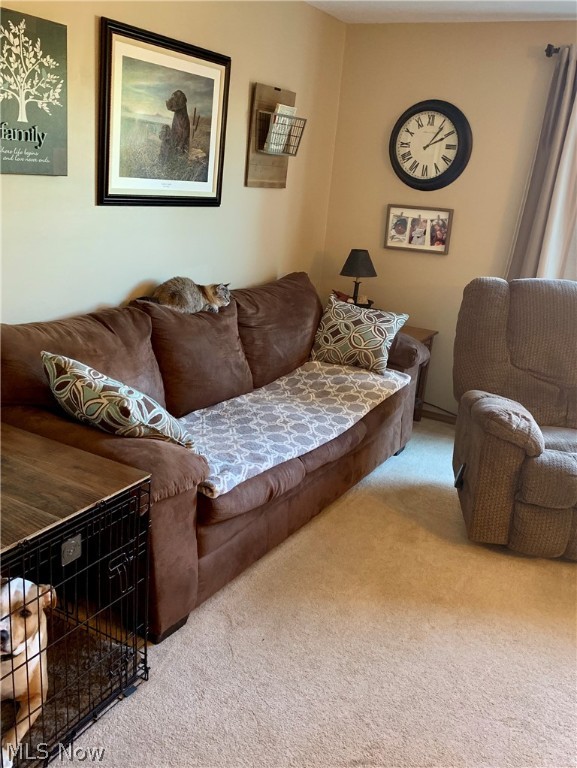 Evergreen Mdws Condo #1 - Residential