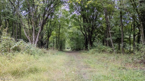 Photo for VL 11.66 Acres Laubert Rd Lot 20Lot 20