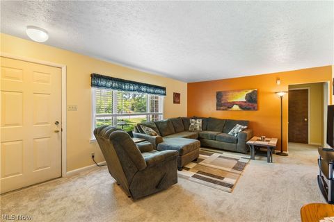 Tiny photo for 5030 Manchester Road, Akron, OH 44319 (MLS # 5210270)