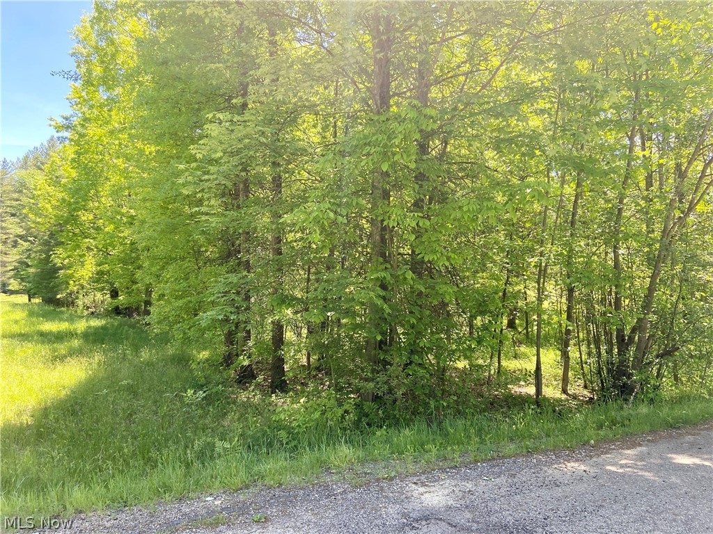 Lake Mohawk Sub Map #5 - Land