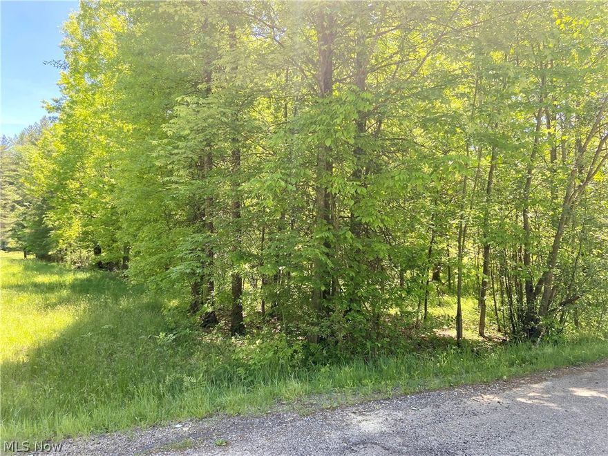 Great oversized, level building lot, build your dream home here and enjoy all the amenities that Lake Mohawk has to offer!  Approximate lot size is 80 x 200. Walking distance to a docking area, lot backs up to Association property and Association property is across the street! Lake Mohawk is a gated community having a 500 acre lake with unlimited horse power, 3 beaches, club house, tennis courts and golf course. Lake Mohawk is located 45 minutes southeast of Akron and 25 minutes from Canton. Enjoy fishing, swimming, boating, water skiing and more!