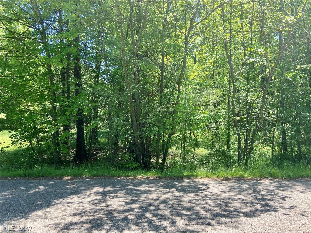 Lake Mohawk Sub Map #5 - Land