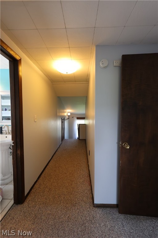 Prophets Hill - Residential