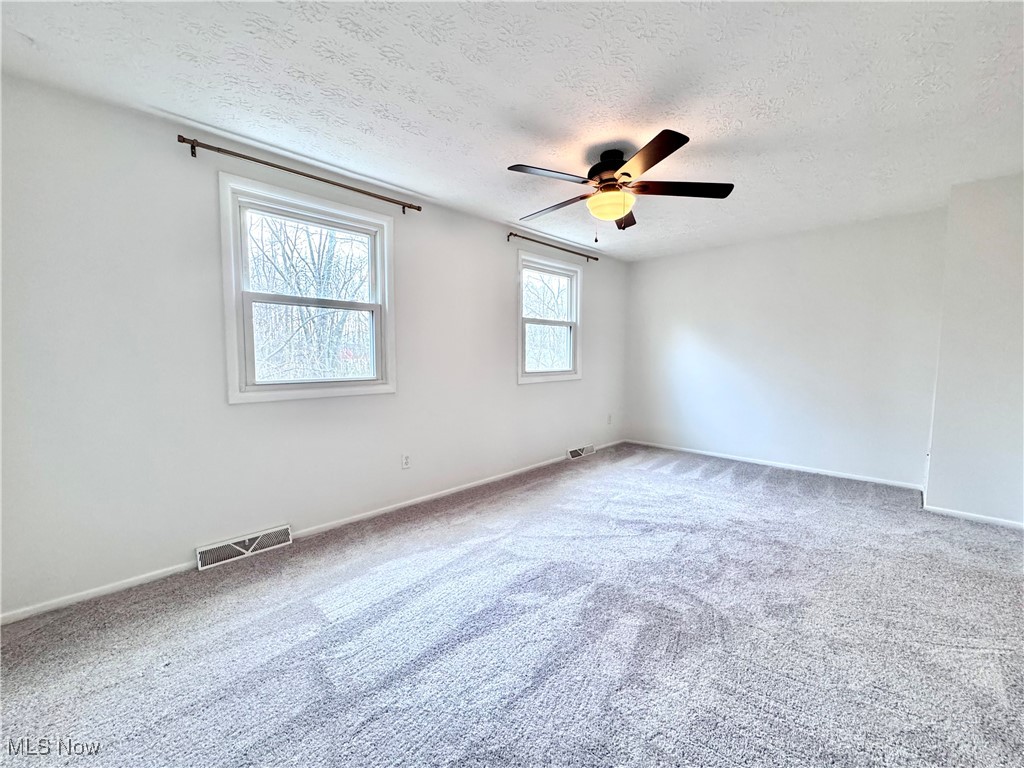 7392 Avon Drive, Mentor, Ohio image 12