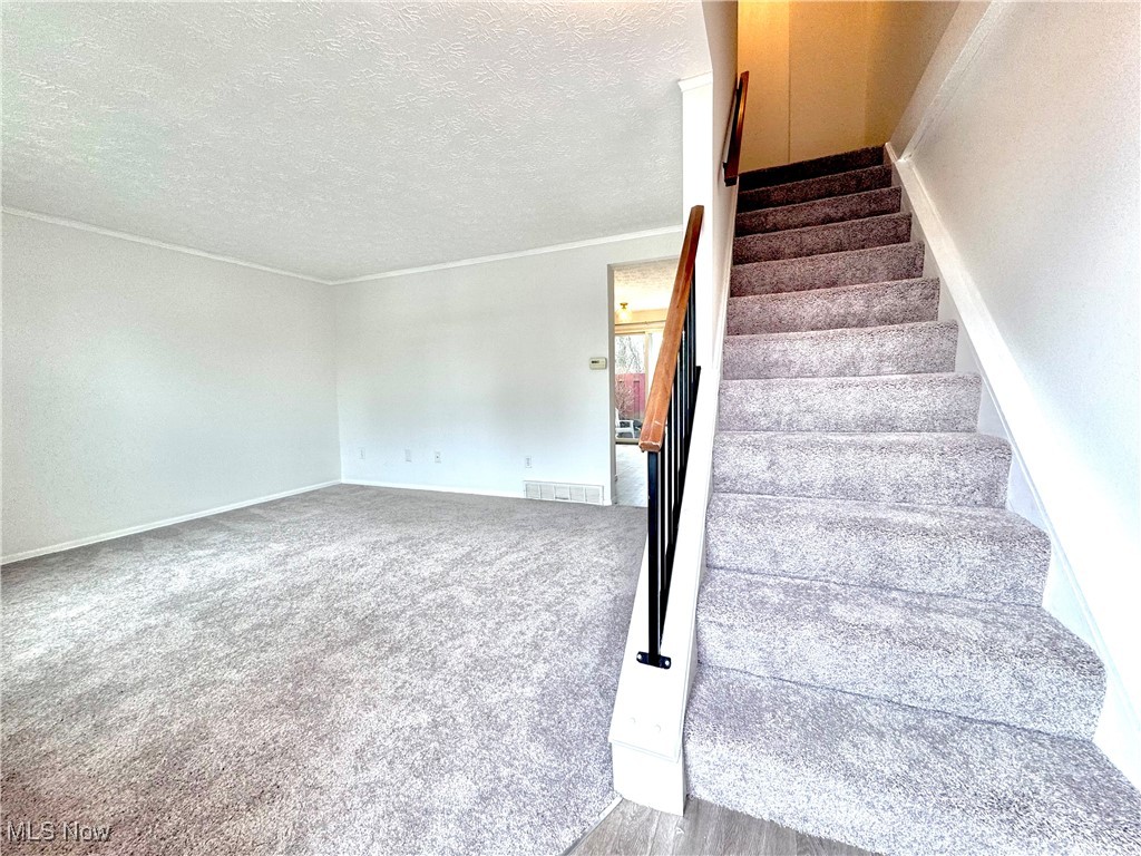 7392 Avon Drive, Mentor, Ohio image 10