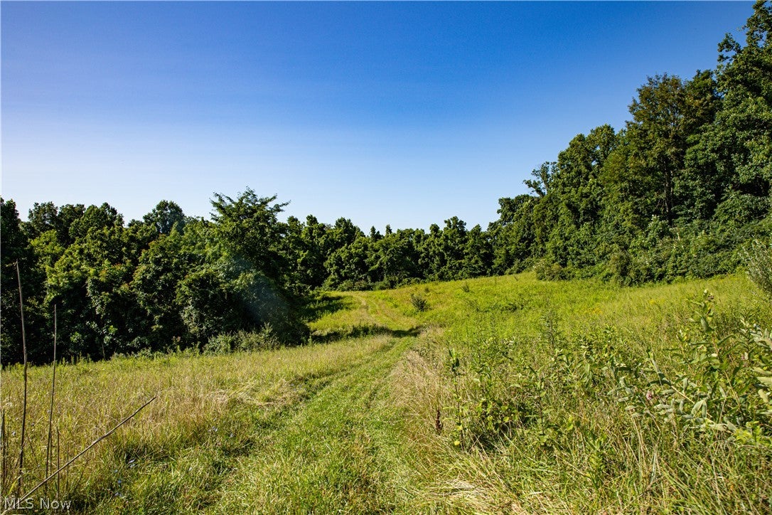 560 Wickens Road