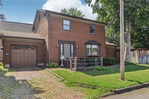 Homes For Sale - 1870 Dallas Avenue<br/> Summit County, Akron, OH 44301