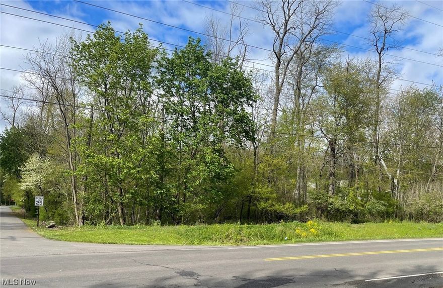 This .459 acre lot is on the corner of Easton St. NE and Woodcrest Ave. NE. It is located in Plain Twp. and the Plain Local School District. This lot has approximately 100 feet of frontage on Easton St. NE. Water and sewer available.