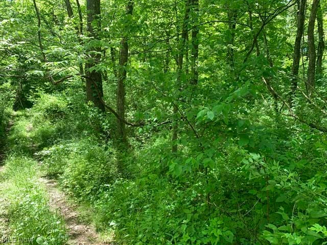 Here is your opportunity to buy a smaller affordable lot at absolute auction. Just a quick drive from New Philadelphia will get you to this open and wooded recreational property. Build your home or hunting cabin, its ready for your adventure. Property is rolling and has a nice ridge-top. Take a look at this one at your own risk and convenience