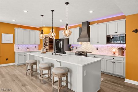 Tiny photo for 6187 Krystina Run, Lorain, OH 44053 (MLS # 5179314)