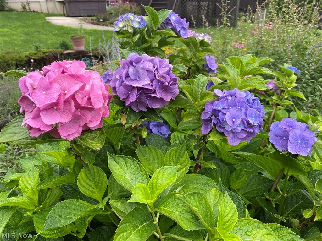 Cherrywood Dev - Residential