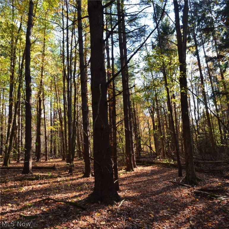 Heather Hollow - Land