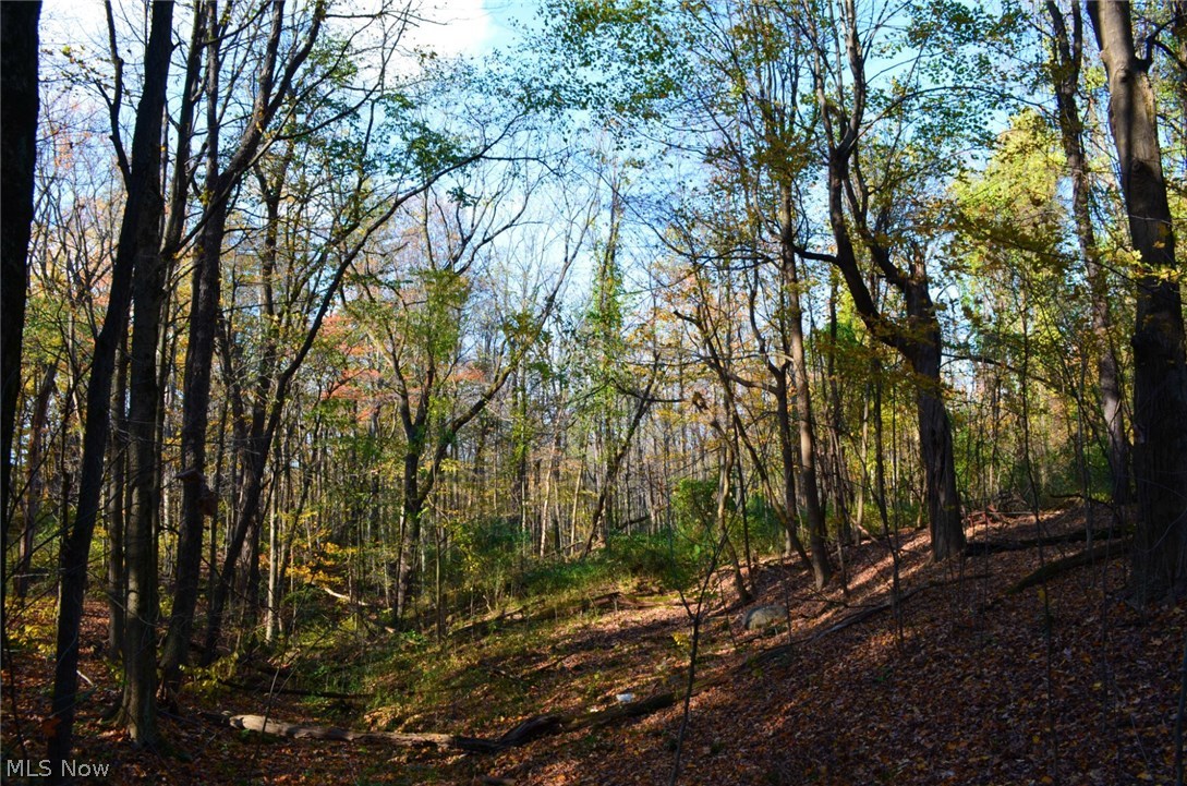 Heather Hollow - Land