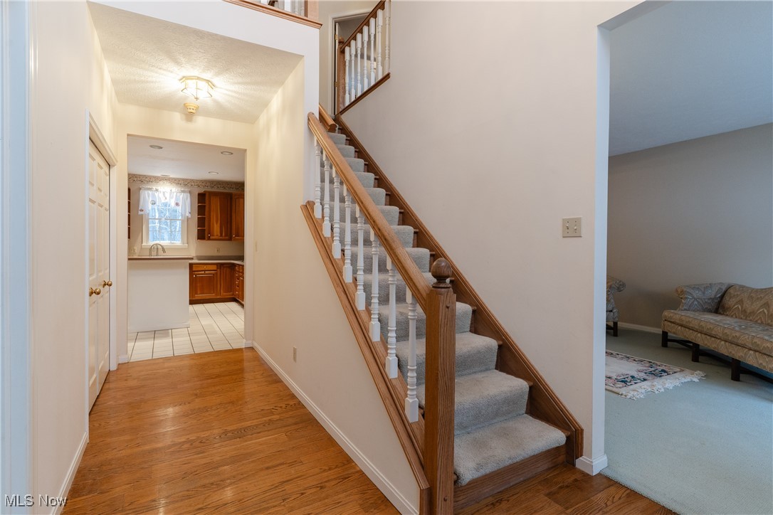 The Homestead Sub - Residential