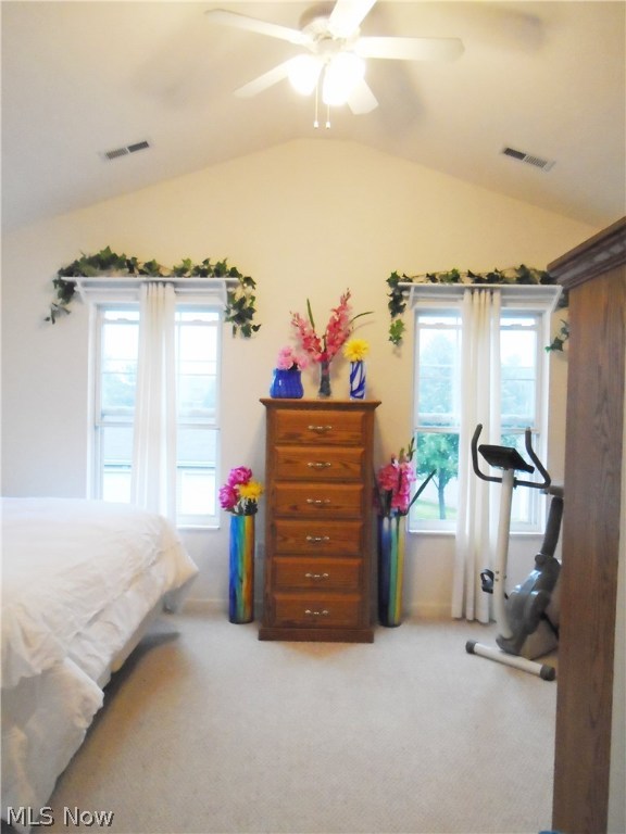 Lenox Village - Residential