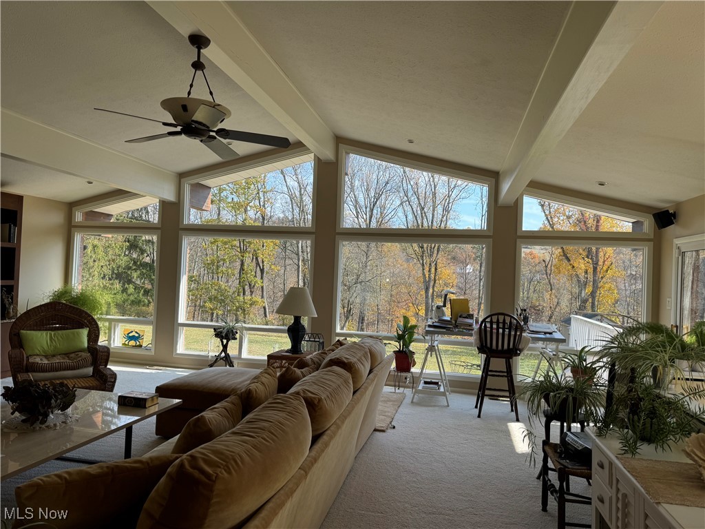 157 Seneca Road, Wheeling, West Virginia image 3