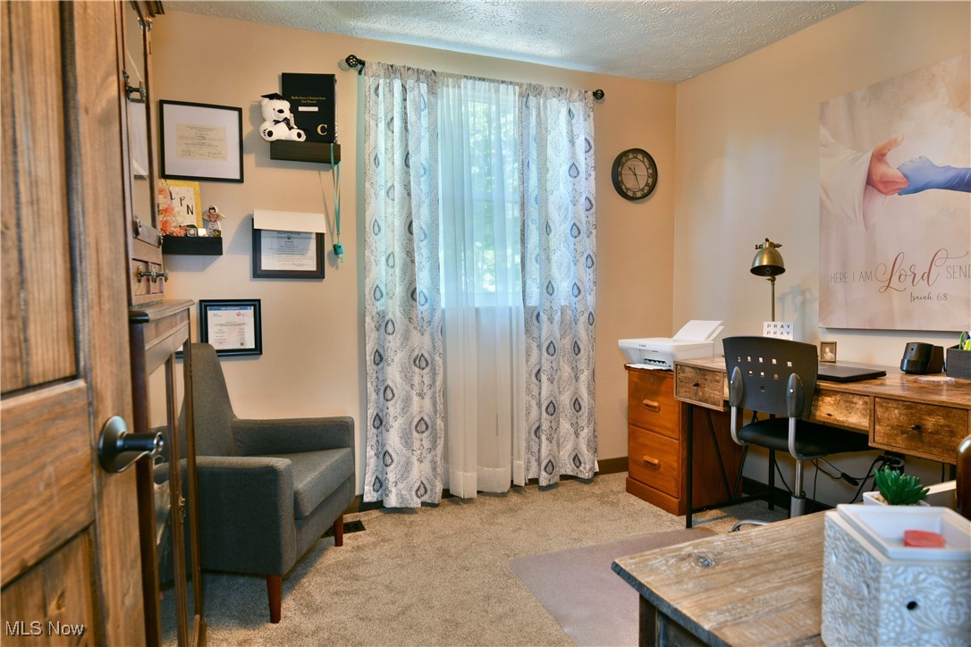 1317 Cedarwood Drive, Mineral Ridge, Ohio image 43