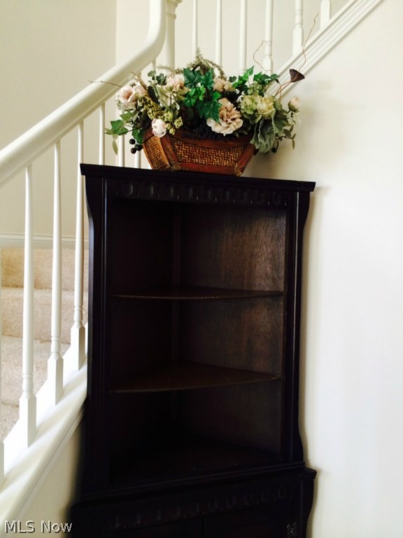 Villas/Macintosh Farms Group - Residential