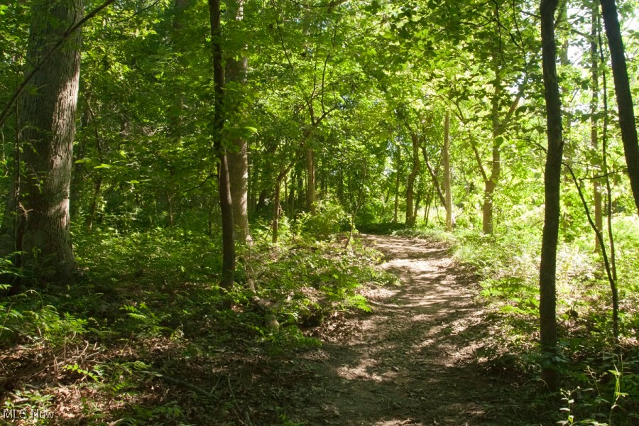 Greenwood Village - Residential