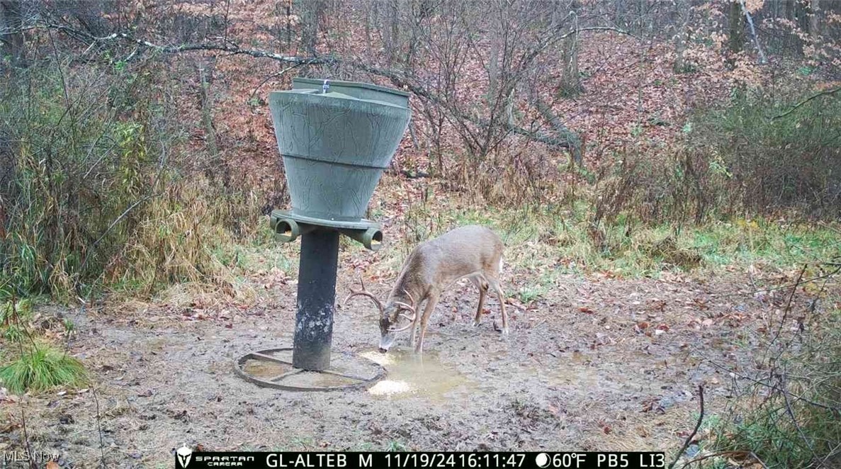 Prider Road, Kimbolton, Ohio image 12