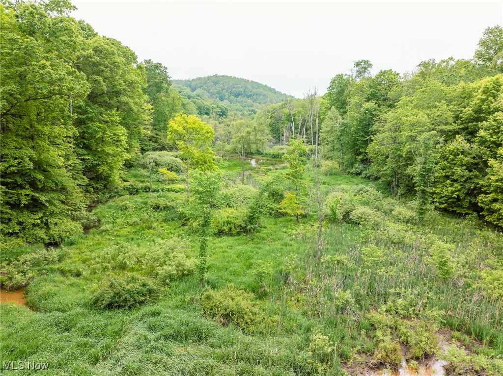 Prider Road, Kimbolton, Ohio image 4