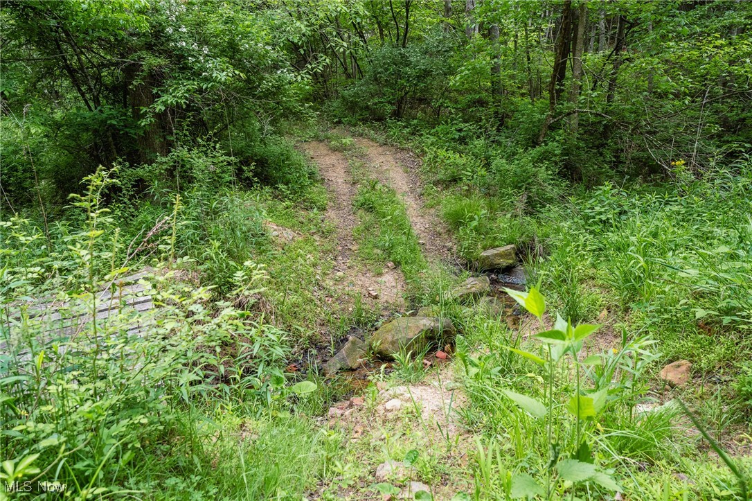 Prider Road, Kimbolton, Ohio image 45