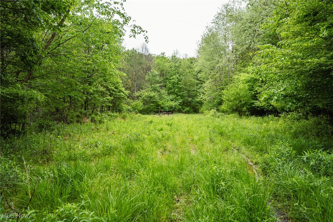 Prider Road, Kimbolton, Ohio image 46